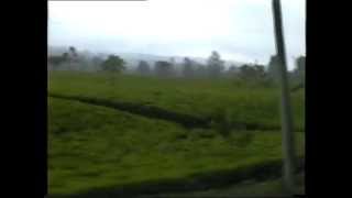 Active Volcano, Tea Plantations, Sundanese Restaurant, Bandung, Java, Indonesia