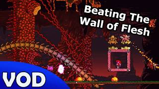 Struggling Summoner Finally Beats Wall of Flesh