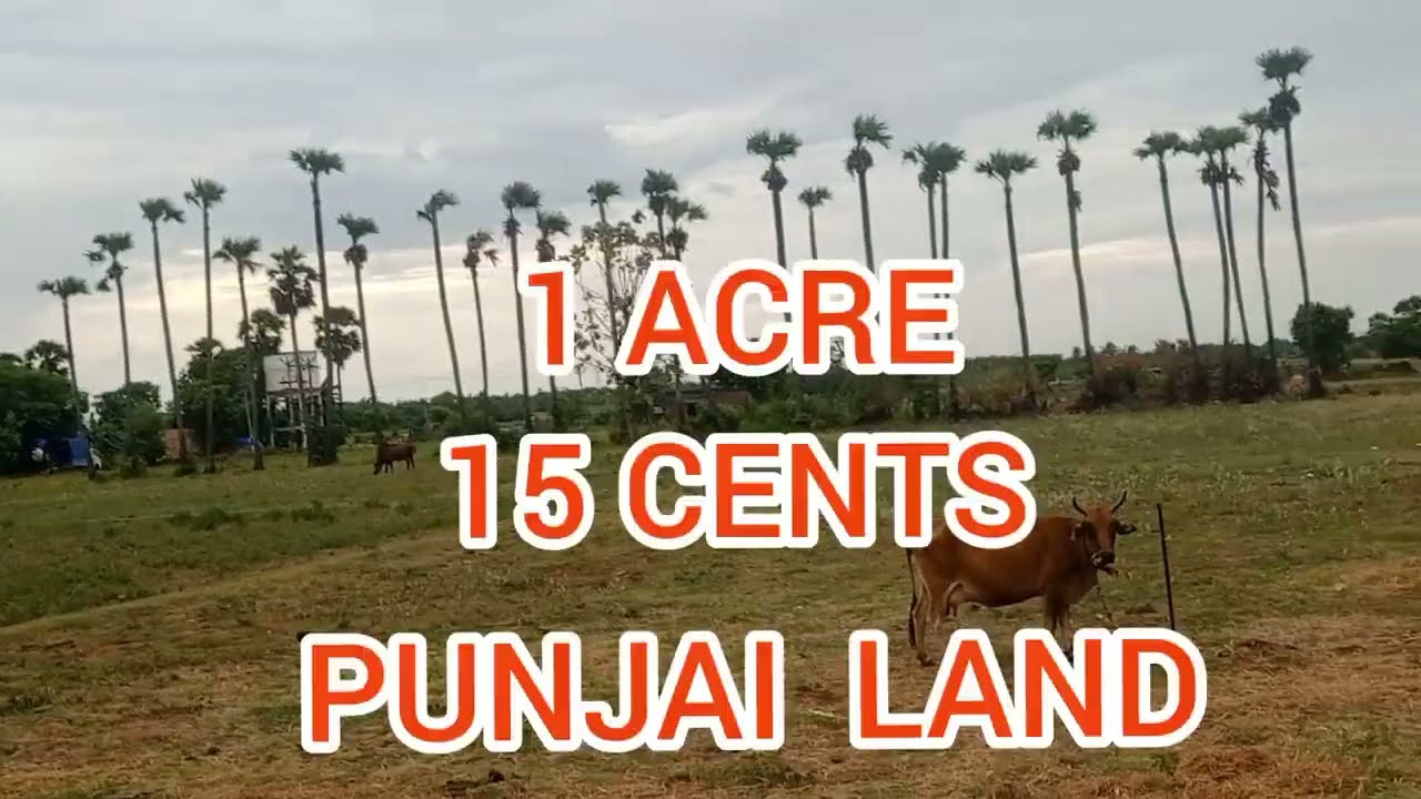 FARM LAND FOR SALE AT KAMMALAMBOONDI VILLAGE, UTHIRAMERUR, KANCHIPURAM DIST. AVAILABLE. YouTube