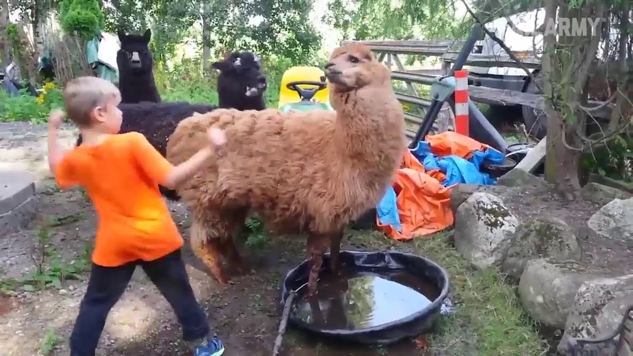 The Best Moments Caught On Camera Top 10 TV YouTube