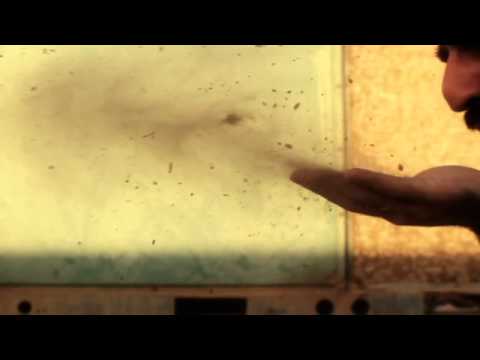 Extreme Slow Motion - Canon 600D - Twixtor pro