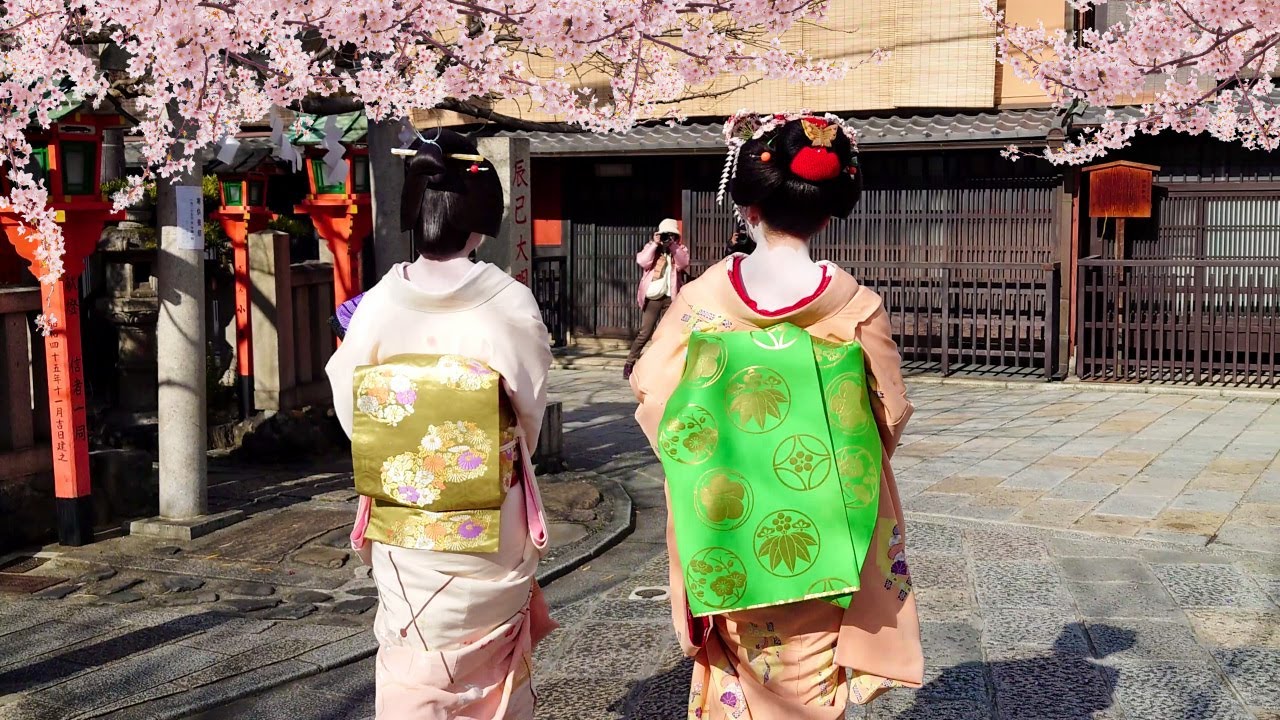 Geisha Walk in Gion Shirakawa of Kyoto | Sakura | 春の京都、祇園