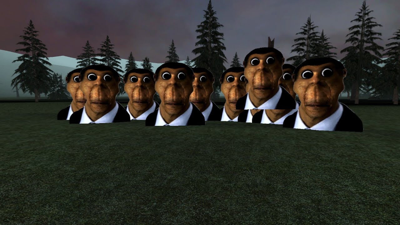 OBUNGA INVASION [10 OF THEM]