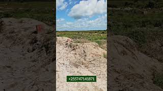 Wekeza Sasa Kijana Miliki Viwanja Vizuri Vilivyopangiliwa Mjini