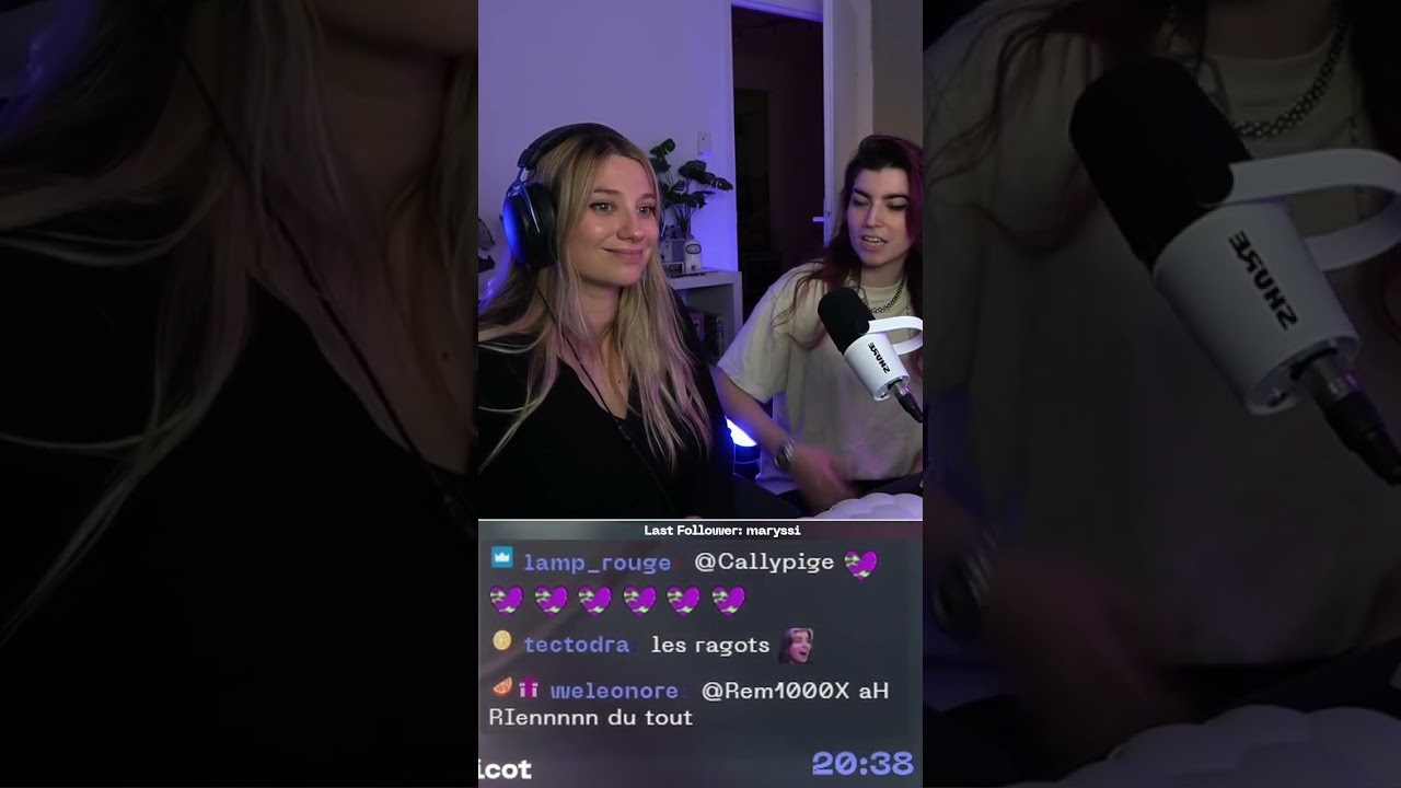 Les problèmes de communication entre BAGHERA et HORTY