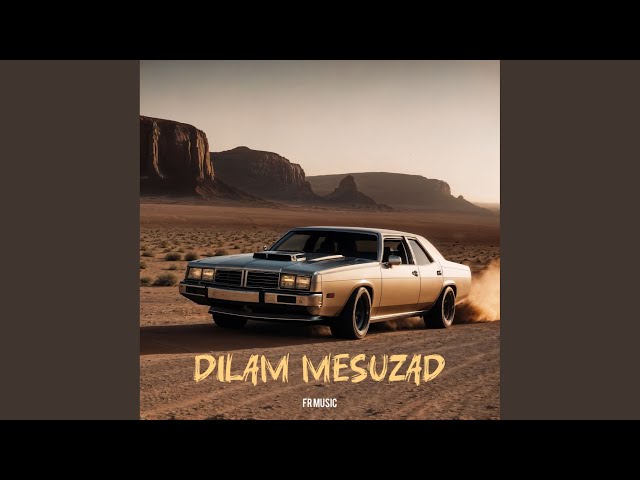 Dilam Mesuzad