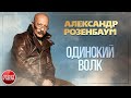 ОДИНОКИЙ ВОЛК ✪ ХОРОШАЯ МУЗЫКА И ПЕСНИ ✪ АЛЕКСАНДР РОЗЕНБАУМ ✪