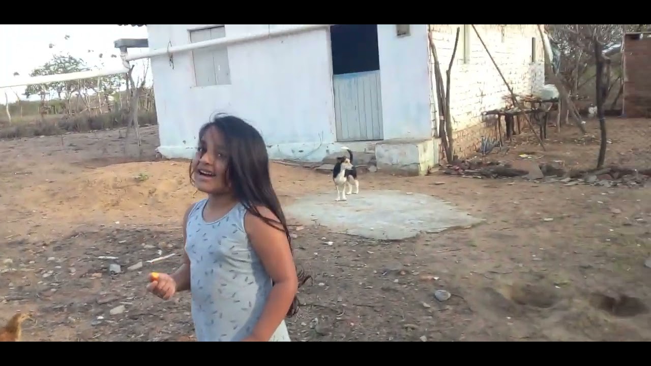 limpando os poleiro das galinhas #sitio