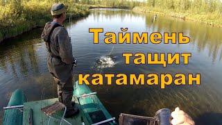 Таймень тащит катамаран!