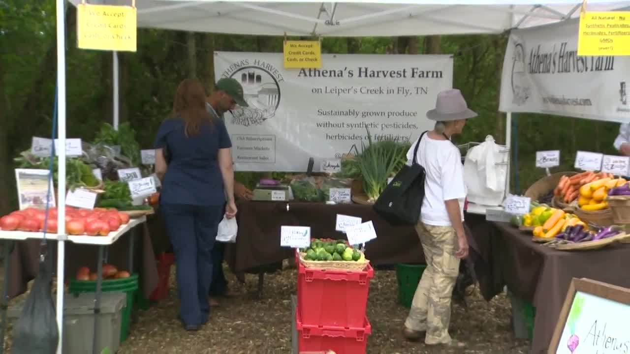 Leiper's Fork Farmers Market YouTube