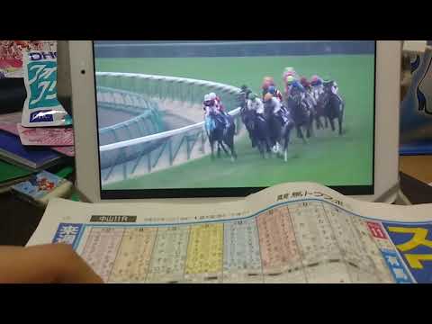 （競馬）第63回有馬記念（GⅠ）解説ダイジェスト