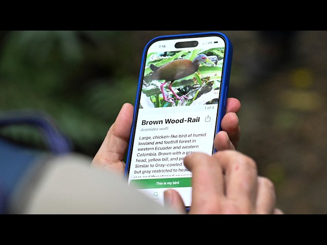 Birding Apps Bring More People Into the Wild