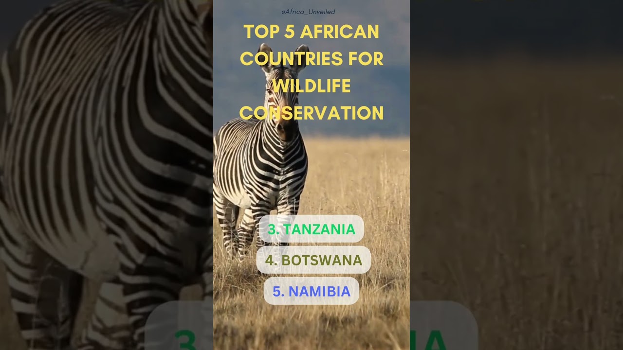 TOP 5 African Countries for Wildlife Observation