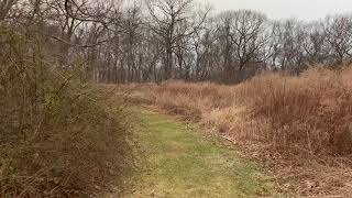 Meadow trails at Planting Fields