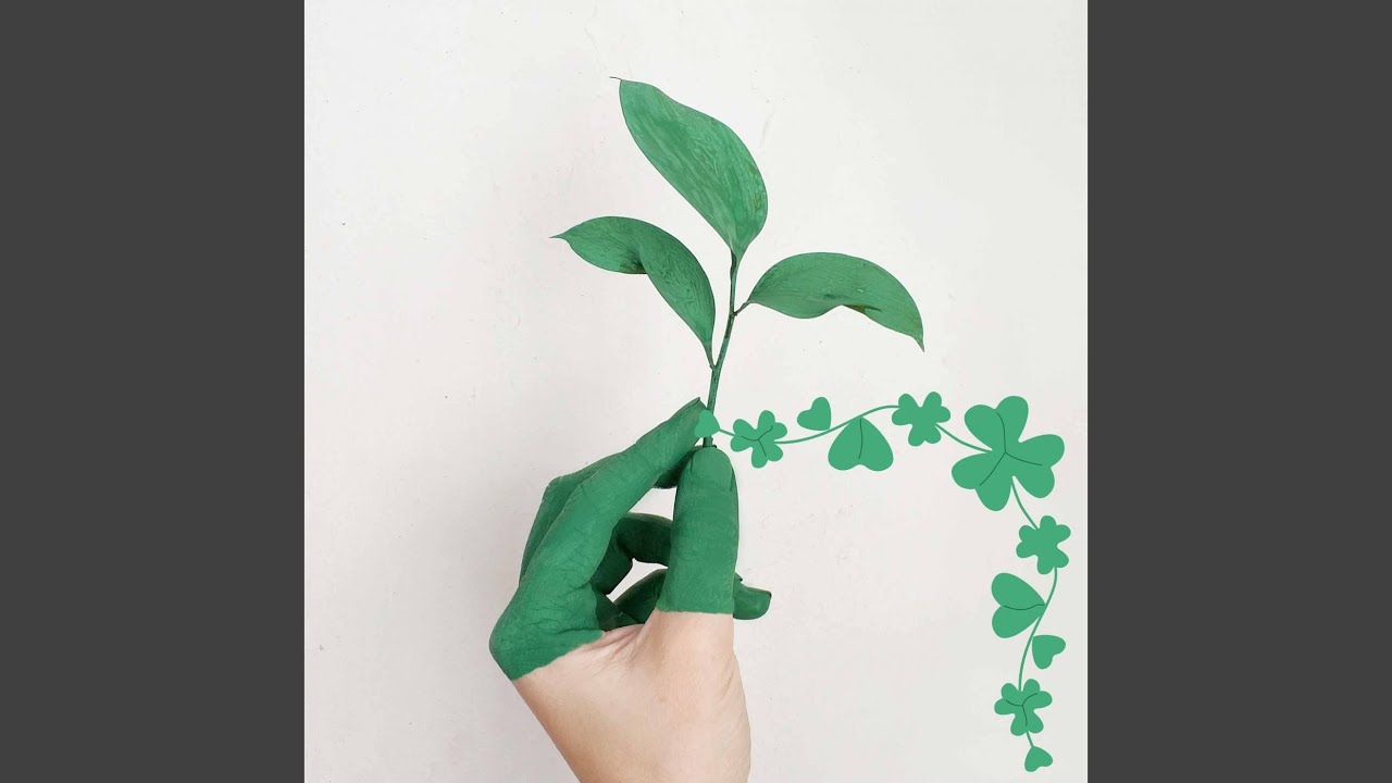 Exquisite Backdrops for Charming Holiday