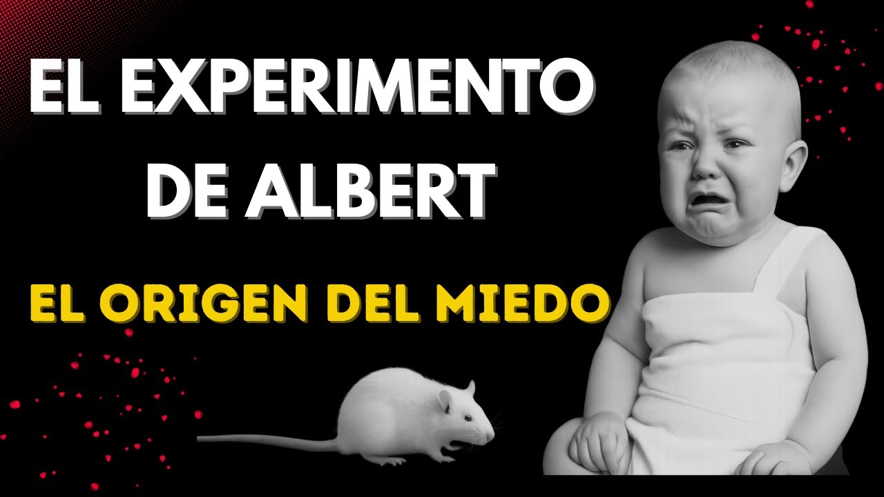 El Experimento del Pequeño Albert 🧸 Cómo se aprenden los miedos