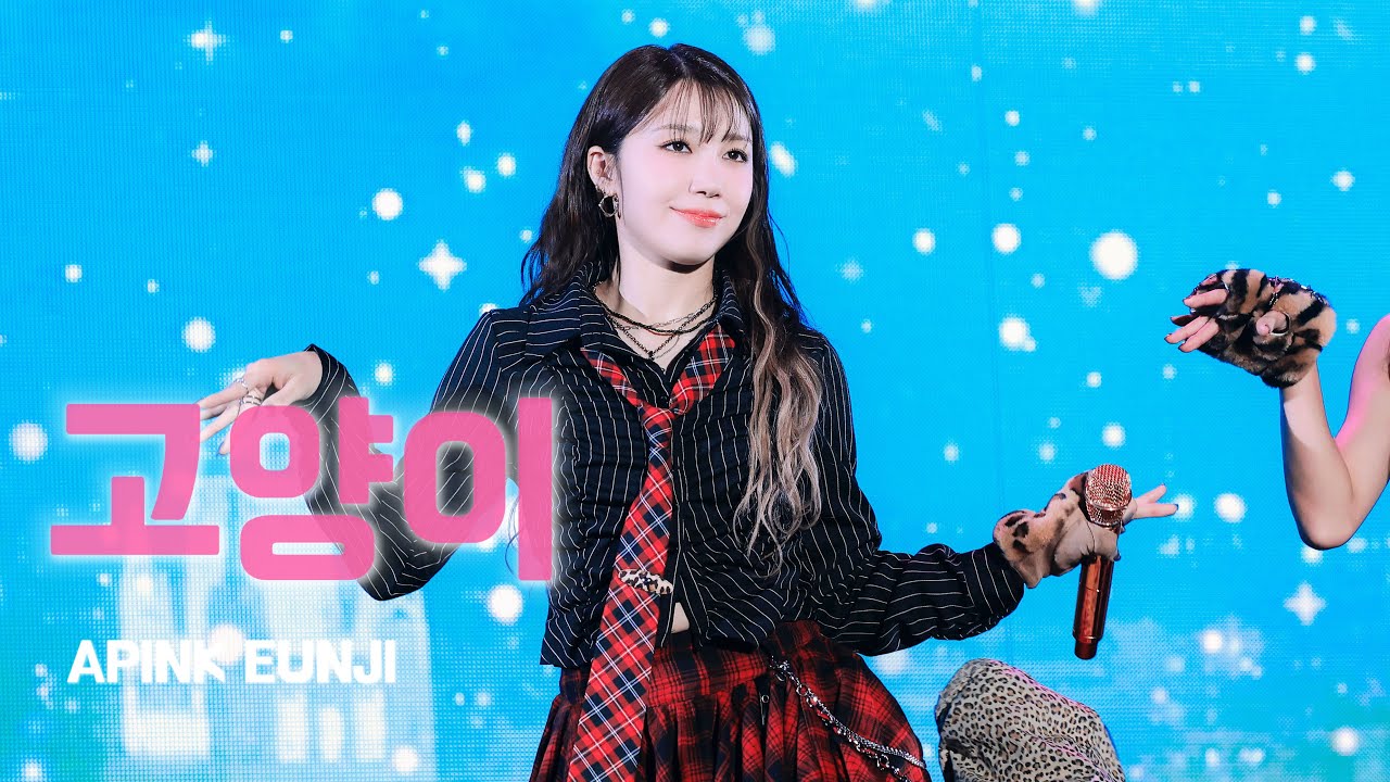 [4K] 241221 에이핑크 정은지 ‘고양이’ 직캠 | PINK CHRISTMAS