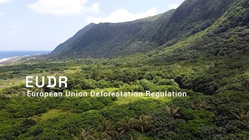 EUDR Regulation Explained: Ensuring Compliance with the EU Deforestation Regulation