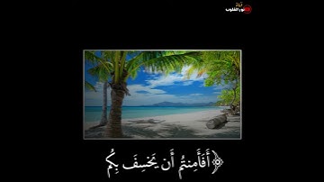 ارح سمعك مع اجمل تلاوه للشيخ ماهر المعيقلي حالات واتساب