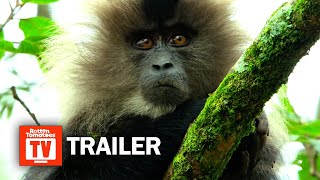 Kan ikke dine Se internettet 16 Incredible Nature Documentary Series and Movies to Stream Right Now <<  Rotten Tomatoes – Movie and TV News