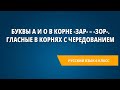 Буквы а и о в корне -зар- – -зор-. Гласные в корнях с чередованием (обобщение)