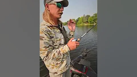 Stealth Feider - Rod, Reel and line setup