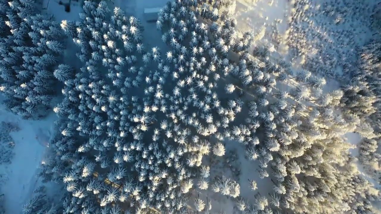 Severomoravská chata