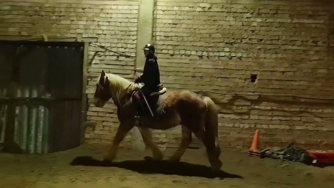 first time on a heavy truck, and also a stallion