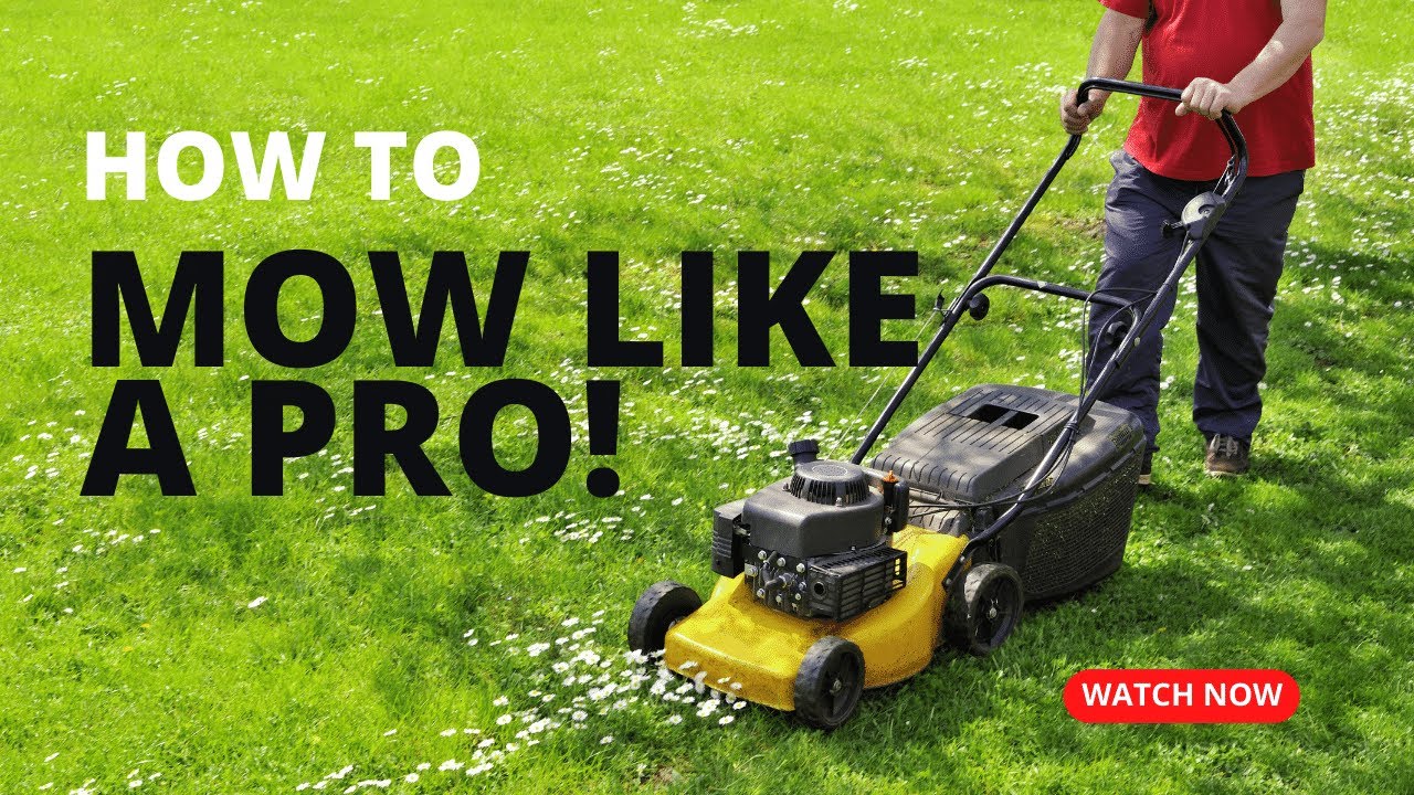 10 Lawn Mowing Tips for a Professional Finish - Mow like a pro!