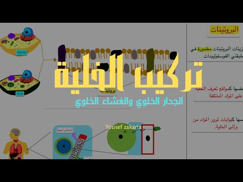 الجدار الخلوي والغشاء الخلوي