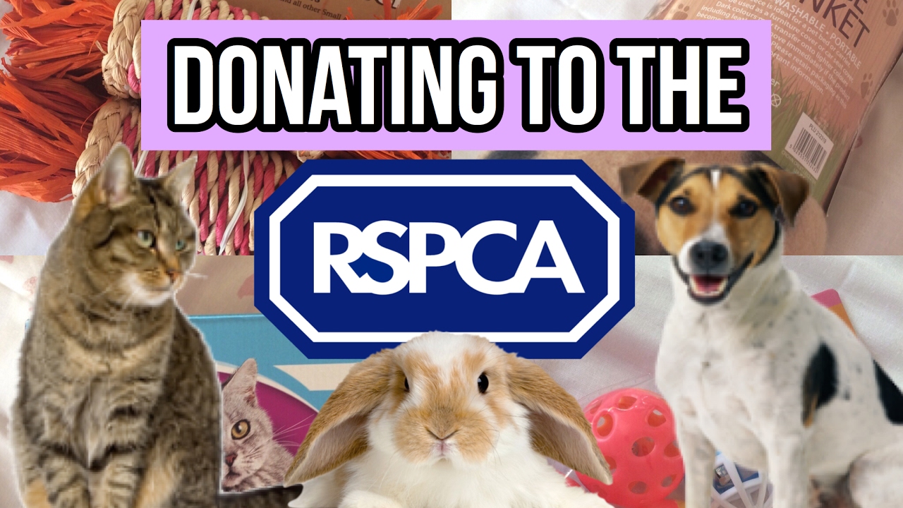 Please donate to the RSPCA! YouTube