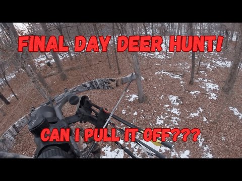 Last Ditch Effort Crossbow Buck Hunt...Can I pull it off?