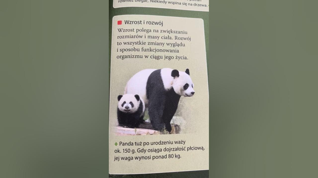 Nauka O życiu Kl 5 Ksiazka Puls życia Sprawdzian www.youtube.com