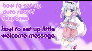 ꒰🍯 How to set up auto response/auto react | ꒰🐻 how to set up little welcome message