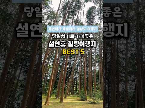 설연휴 힐링여행지 추천 #여행 #국내여행 #겨울가볼만한곳 #국내겨울여행 #부산여행