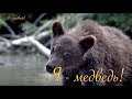 Любимые игры медвежонка   Я медведь!  PRIRODA SHOW от Дмитрия Шпиленка