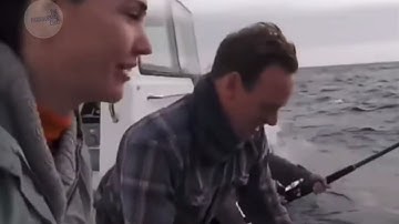 The mysterious sinking of a charter boat- Megalodon