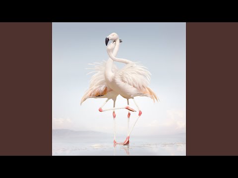 Rustie — Up Down
