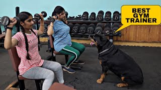 One of the best gym trainer ever | dog help pregnant women | funny dog video |