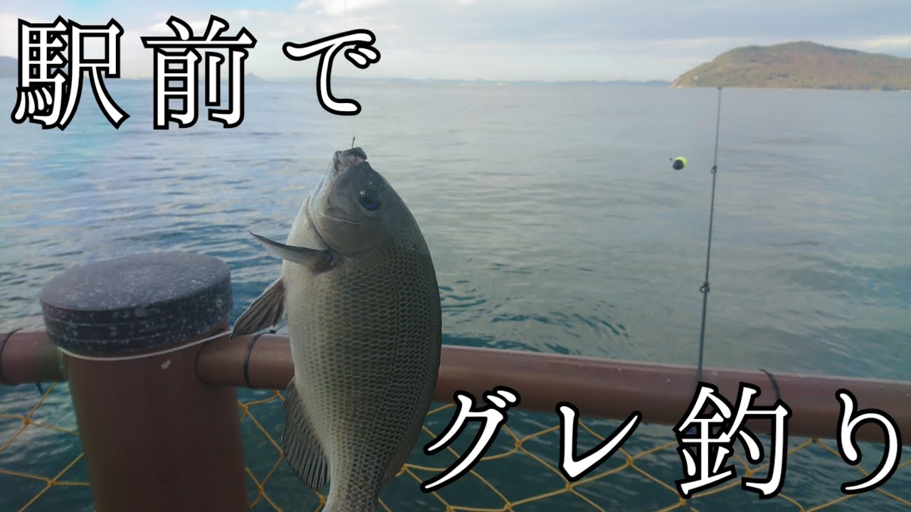 パックロッド】汎用性抜群のコンパクトロッド！ダイワ ファントムTR