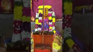 Grama devatha satamma thali mandala pooja kavetigaripalli pulicheria (m)