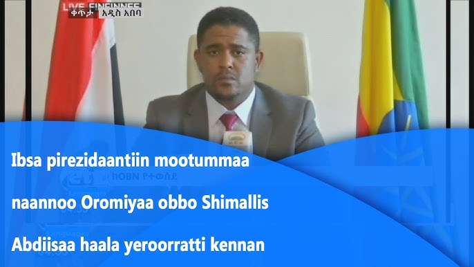 Olomon trannies bir odamni aylana boylab otib ketmoqda Olomon trannies bir odamni aylana boylab otib ketmoqda