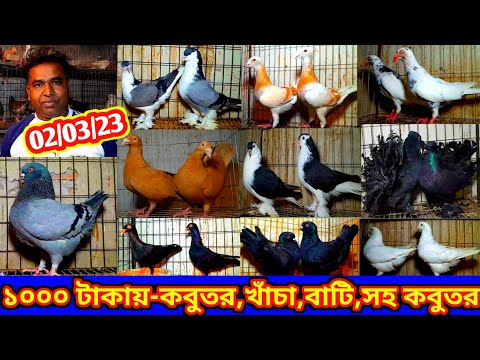 অবাক করা অফার !! মাত্র ১০০০/- টাকায় কবুতর খাঁচা বাটি সব পাবেন kom dame fenci kobutor