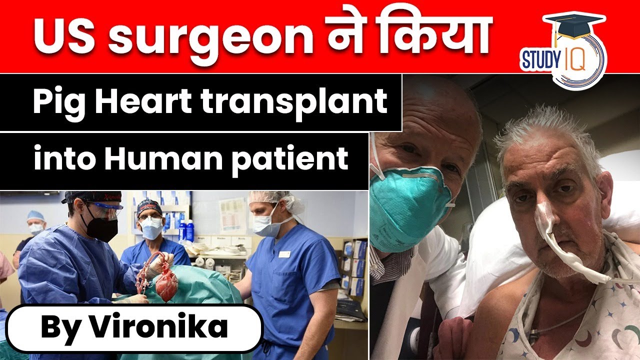 U.S surgeons transplant Pig heart into Human patient Science & Tech