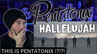 Metal Vocalist - PENTATONIX HALLELUJAH ( REACTION )