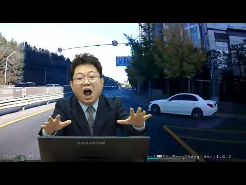 * 문 여는데 횡단보도를 횡단하며 추월하는 차와 쾅! [ 210119 화 오후 생방송 1 ]