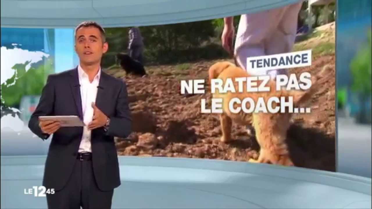 reportage sur les coachs canins avec M6 - YouTube