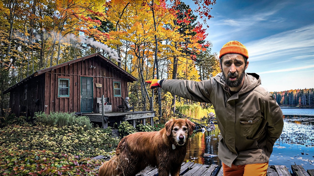 The Wilderness SWALLOWED our Cabin! Cutting It All Down