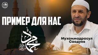 Пример для нас Пророк ﷺ (Мухаммадрасул Саадуев)