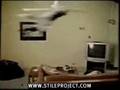 Cat jumps on ceiling fan